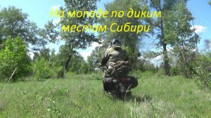 На мопеде в лес. Мотопоход. Завтрак в лесу.