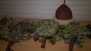 Банный комплекс «Нежный пар»