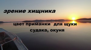 Как видят хищники. Цвет воблера для щуки, судака, окуня.