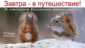 Завтра начинается Новое Путешествие, а сегодня вернулись наши Белочки или КОТоБудни от 09.04.2025г