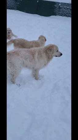 А у нас во дворе 😀