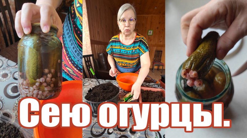 Зачем в компот огурцы напихал?
