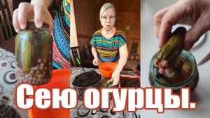 Зачем в компот огурцы напихал?