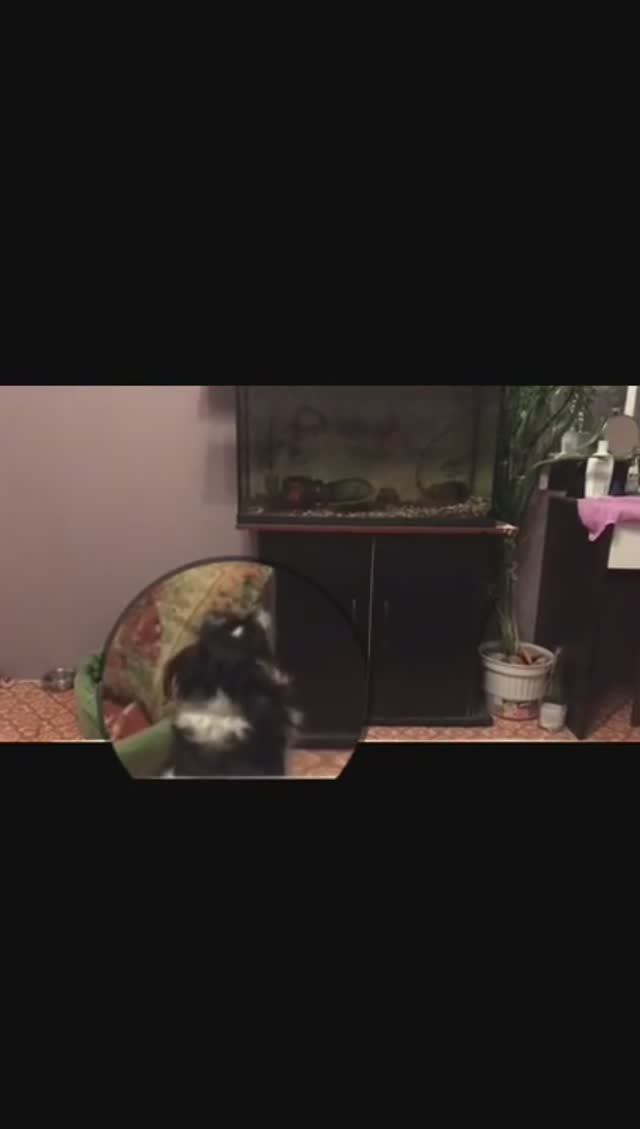 Выдержка