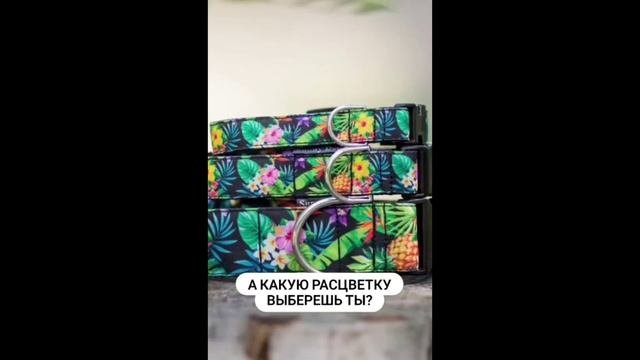 Ошейник для собак