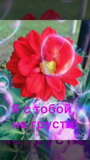 Открытка для любимых