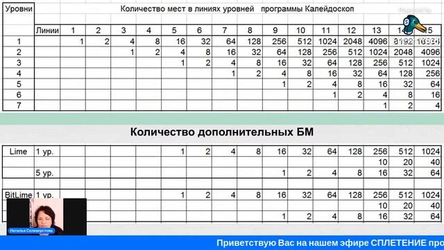 СПЛЕТЕНИЕ ПРОГРАММ LIME ACADEMY.