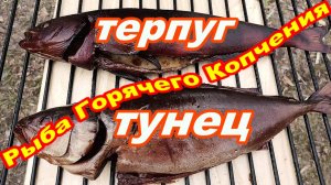 Рыба ГОРЯЧЕГО КОПЧЕНИЯ ТЕРПУГ ТУНЕЦ ! Простой Вкусный рецепт копчения рыбы !