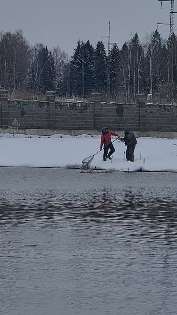Поимка смотреть онлайн