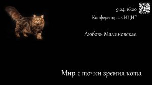 Любовь Малиновская «Мир с точки зрения кота»