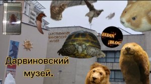 Дарвиновский музей.