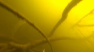 Волгоград весна 2025