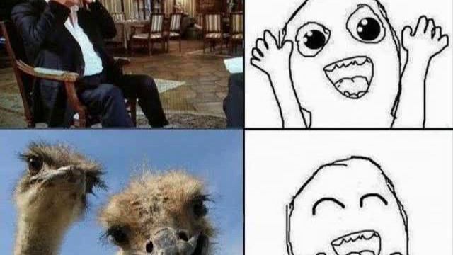 Янукович и страусы: лучшие фотожабы и мемы смотреть онлайн