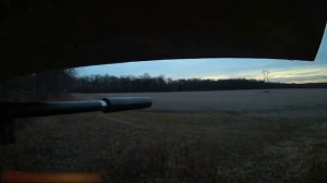 300 Blackout Bolt action deer hunt