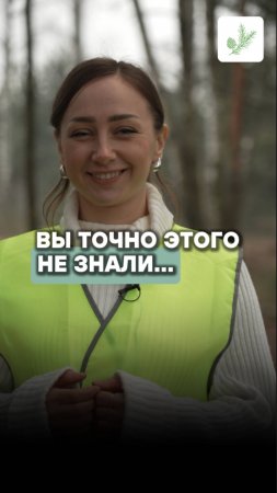 🌲 Какой самый большой город Подмосковья?