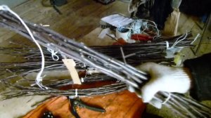 Черенки для прививки из Института плодоводства Беларуси (2017)