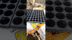 Торф и кассеты для качественной кассетной рассады клубники КСД и НСД сортов🍓