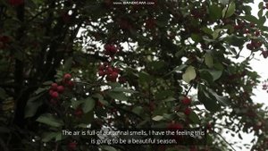Our Cottage Life. Уютные сентябрьские дни. Приход осени