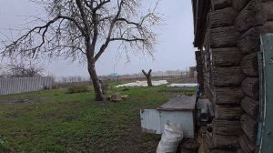 Нужно приспособиться. Жизнь в маленькой деревне