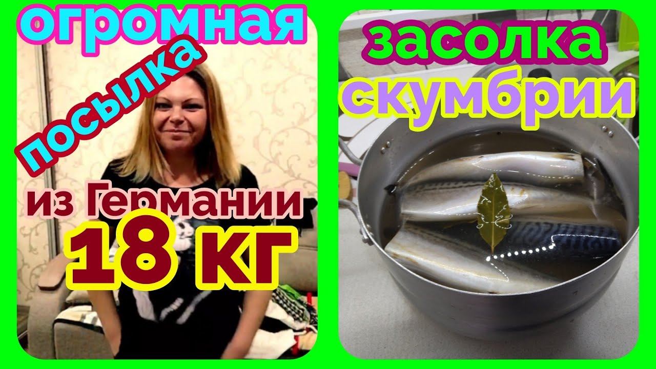 Мы родились в Сибири/показ мод от Юляшкина/засолка скумбрии/штудирует цены