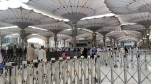 12425998_3840_2160_60fps