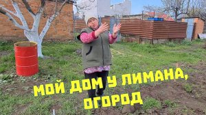 Мой дом у лимана. Азовское море. Собираем мебелЯ. Посадки весной. Куры Нью-Гемпшир.