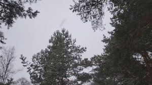 Деньги в долг. Немного о финансовой грамотности