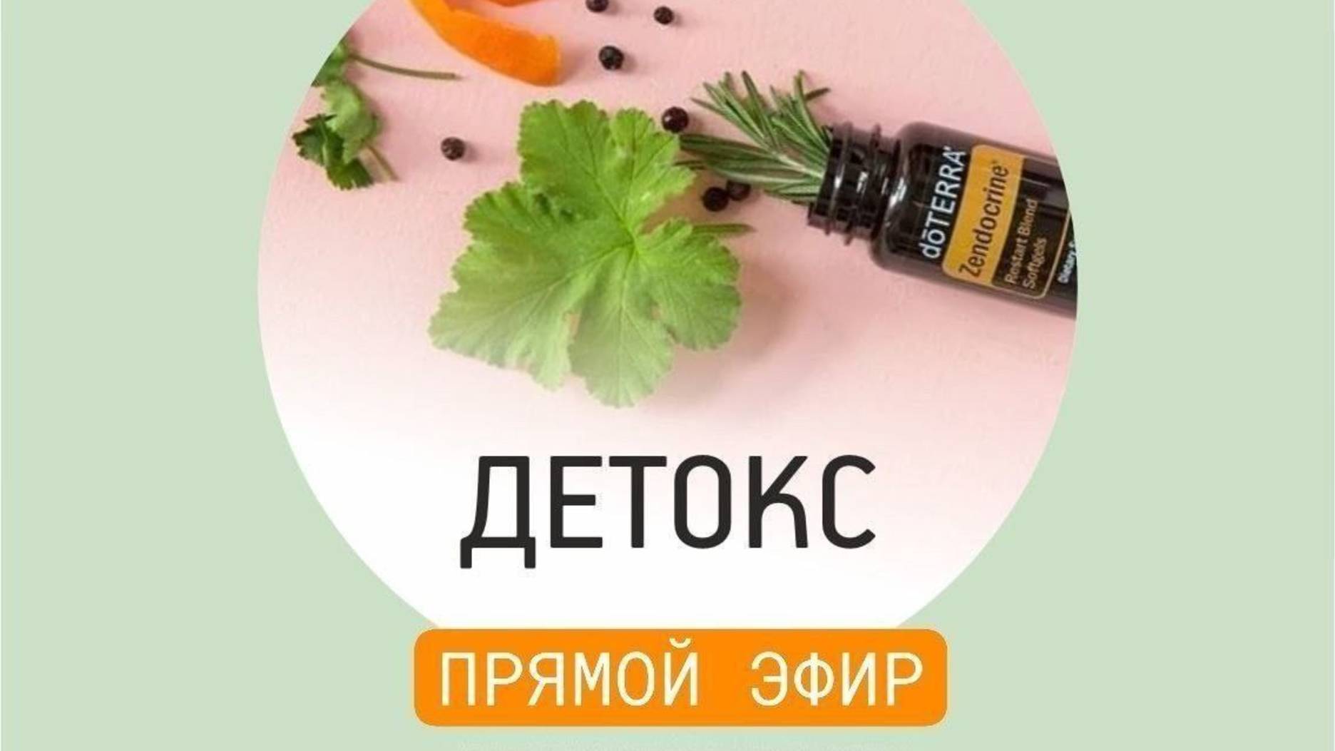 "Детокс, основы", встреча с нутрициологами, апрель 2025