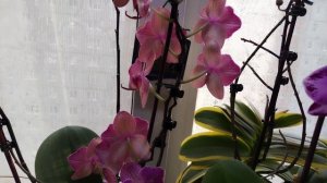 Весна пришла и радует меня 💞💞💞