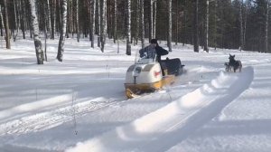 video5334950273326541568