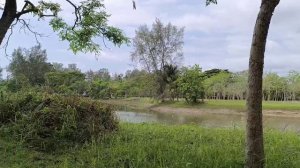 К морю остров Чанг Таиланд март 2025