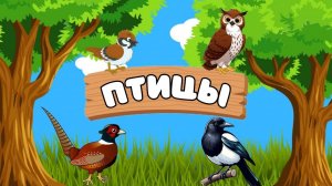 Птицы для детей! Обучающее и развивающее видео.🦜 Интересные факты для детей