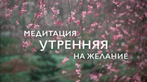 Утренняя медитация 3 минуты на желания и удачу | Медитация для начинающих
