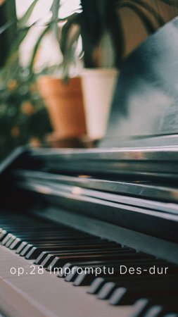 Больше музыки на канале #piano #классическая_музыка #фортепиано #современная_классика #неоромантизм