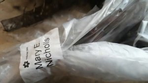 четвертая часть распаковки посылки пионов из Пулков Сада