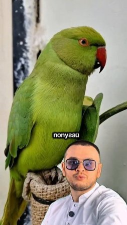 Барбер 🦜