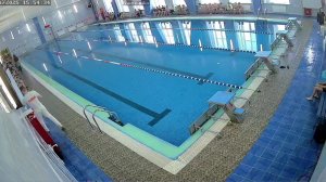 Соревнования по плаванию "Кубок города"