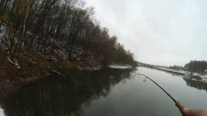 Реальная рыбалка на р.Осетр (Ливадия)