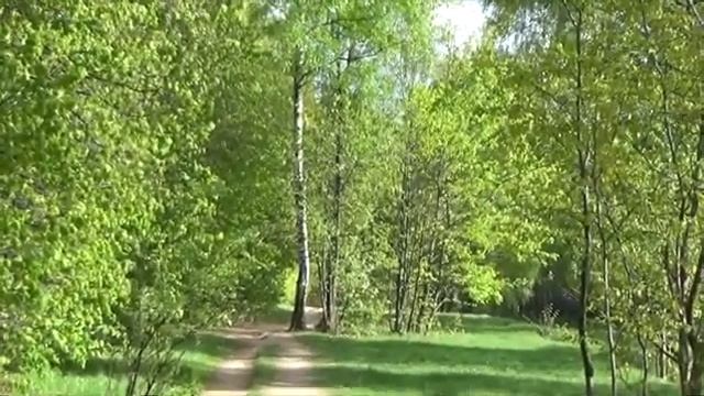 Для души.МУЗЫКА и ВЕСНА