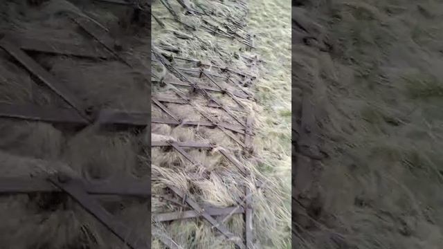 Культиватор прицепной для сплошной обработки почвы КПС-4У "КОРММАШ" экспресс-обзор от Сергея Бокий