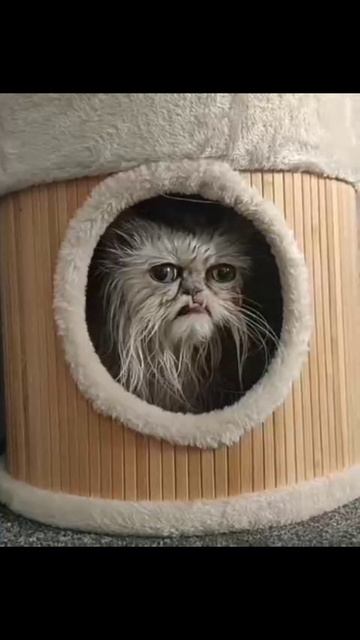 09-04-2025 смотреть онлайн