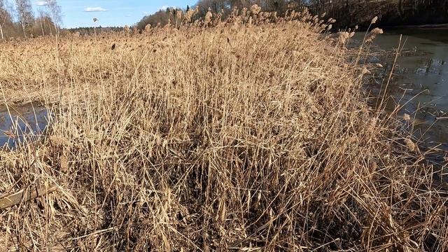 Ранняя весна: мотоцикл, грязь и солнце.