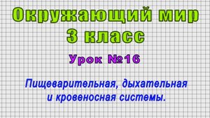 Окружающий мир 3 класс (Урок№16 - Пищеварительная, дыхательная и кровеносная системы.)