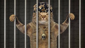 🐈 Нарушители порядка! 😺 Подборка приколов с котами и животными для хорошего настроения! 😺