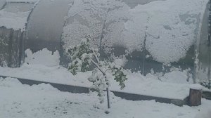 ❄️Юг..апрель 2025 г❄️