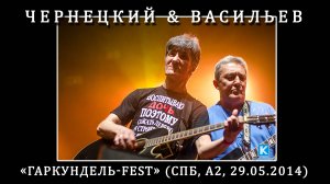 2014. Чернецкий & Васильев — «Гаркундель-Fest» (СПб, А2, 29.05.2014) [AI HD]