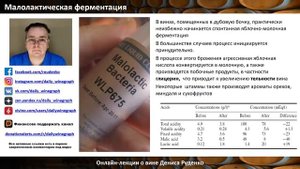 Вино - как это делается Часть 2.mp4