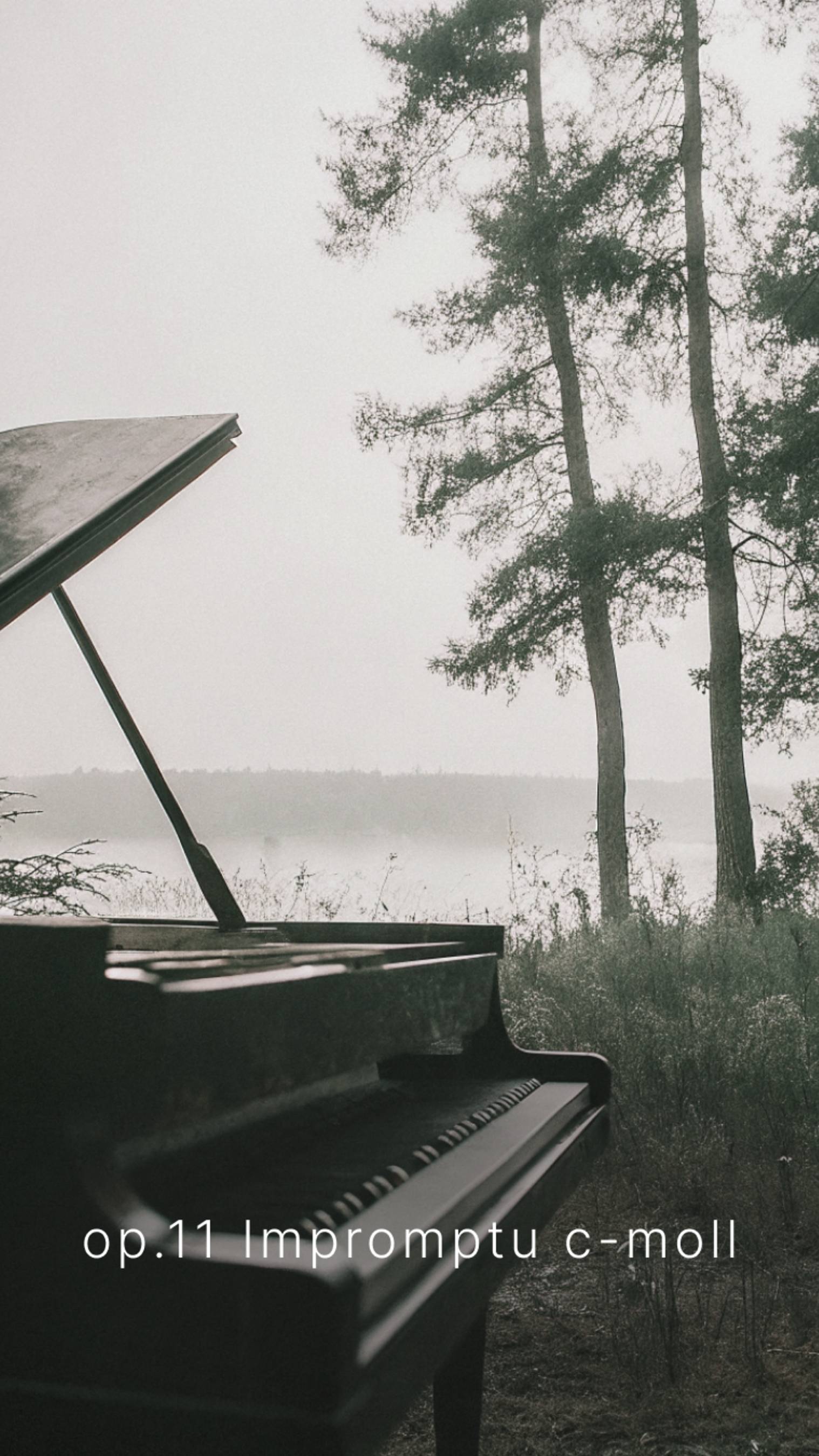 Больше музыки на канале #piano #классическая_музыка #фортепиано #современная_классика #неоромантизм