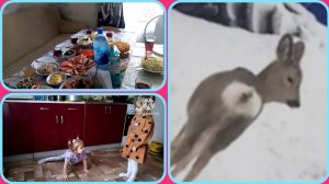 В Сибири отмечаем юбилей брата/нас замело/подарок для мужа/заболела/готовлюсь к посадке...