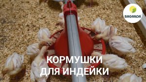 Кормушки для индейки – идеально для индюшат | Оборудование SAGRADA